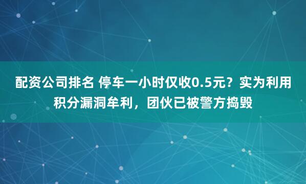 配资公司排名 停车一小时仅收0.5元？实为利用积分漏洞牟利，团伙已被警方捣毁